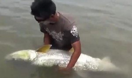 钓大鱼视频,视频教学带你轻松捕获巨物