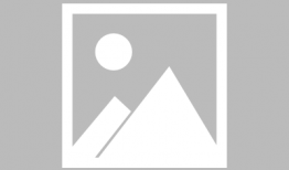 beeg视频,热门内容背后的故事与影响